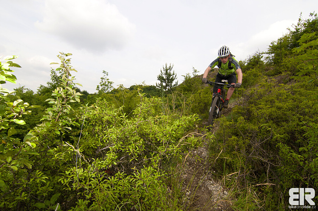 Specialized-Camber-29er-03 Specialized-Camber-29er-03