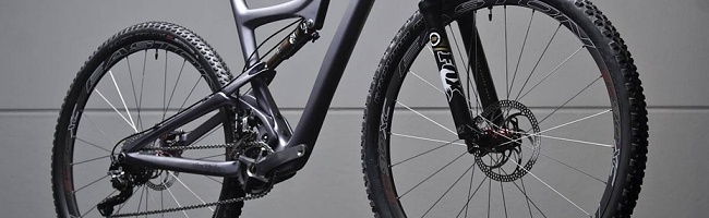 Ibis Ripley 29 - představení