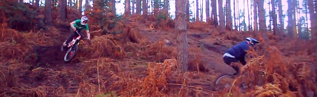 Woburn Sands Woods (video)