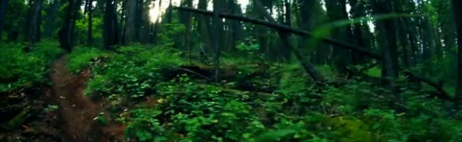 Poetické jarní... (video)