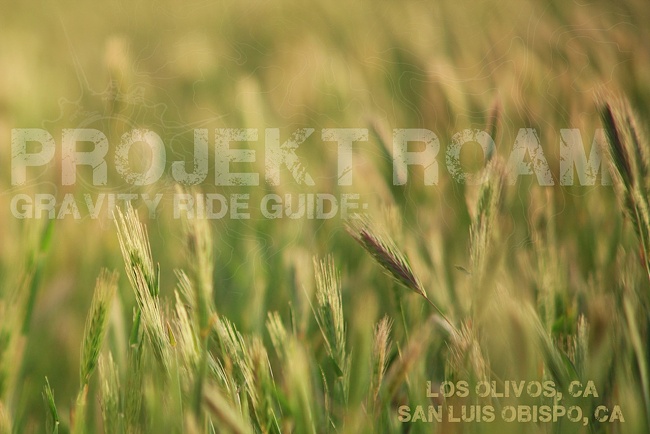 Projekt Roam Projekt Roam