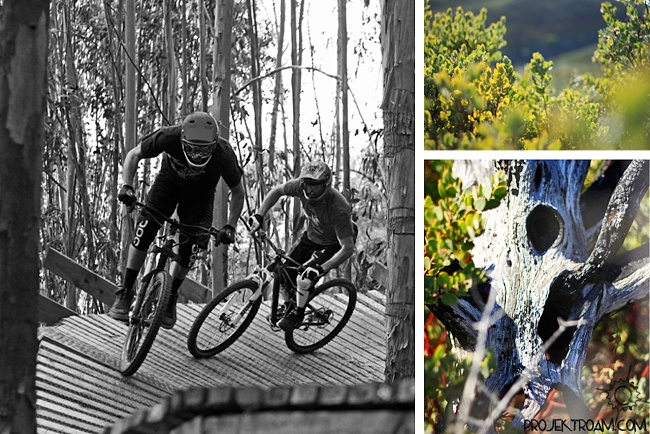 Projekt Roam Projekt Roam