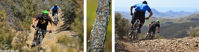 Projekt Roam Projekt Roam