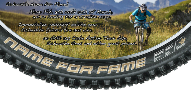 Schwalbe - Name for Fame
