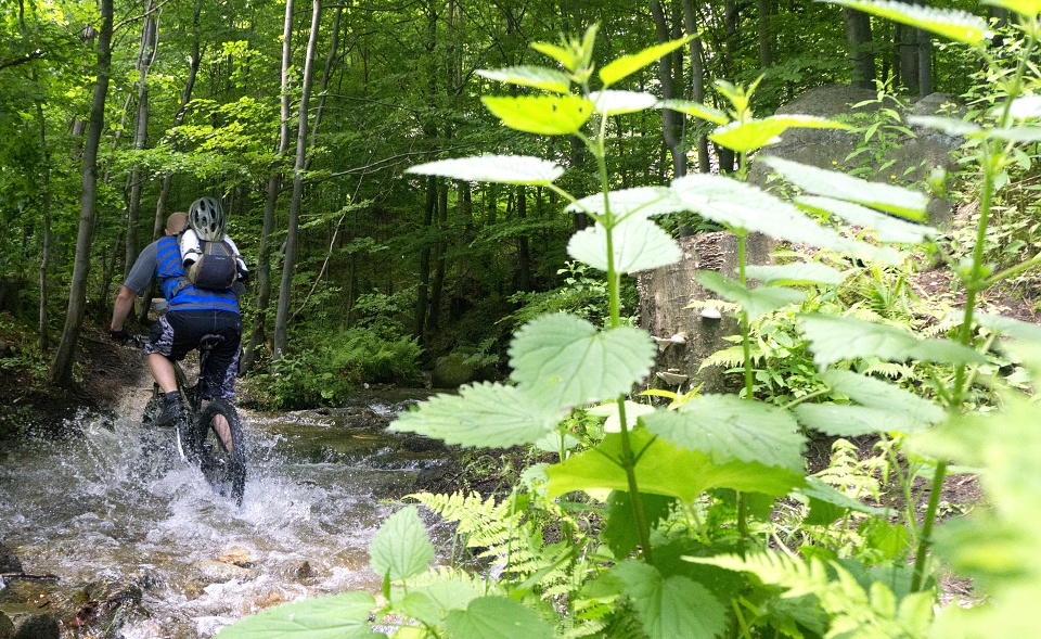 Los Tomanos na Rychlebskych stezkach