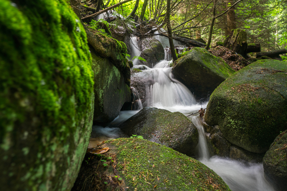 Los Tomanos na Rychlebskych stezkach