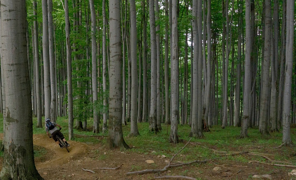 Los Tomanos na Rychlebskych stezkach