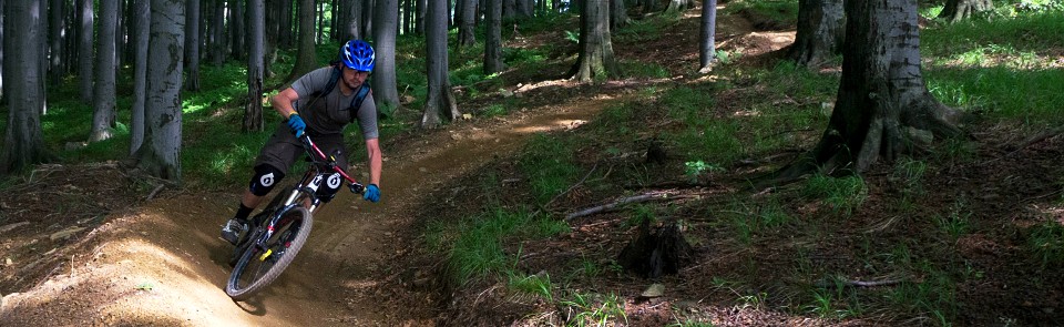 Los Tomanos na Rychlebskych stezkach