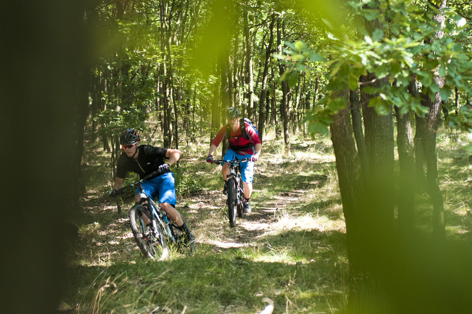 AGang - novinky 2014