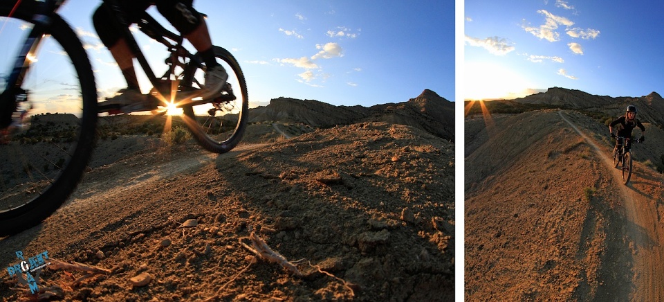 PROJEKT ROAM: Landscapes Vol. 1