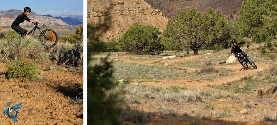 PROJEKT ROAM: Landscapes Vol. 1