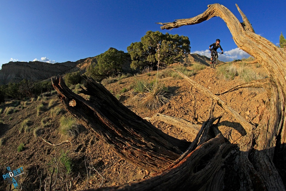 PROJEKT ROAM: Landscapes Vol. 1