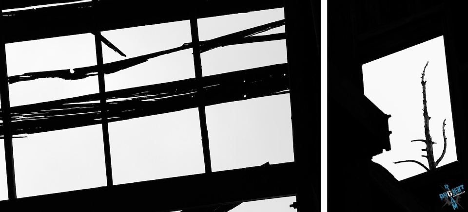 PROJEKT ROAM: Landscapes Vol. 2