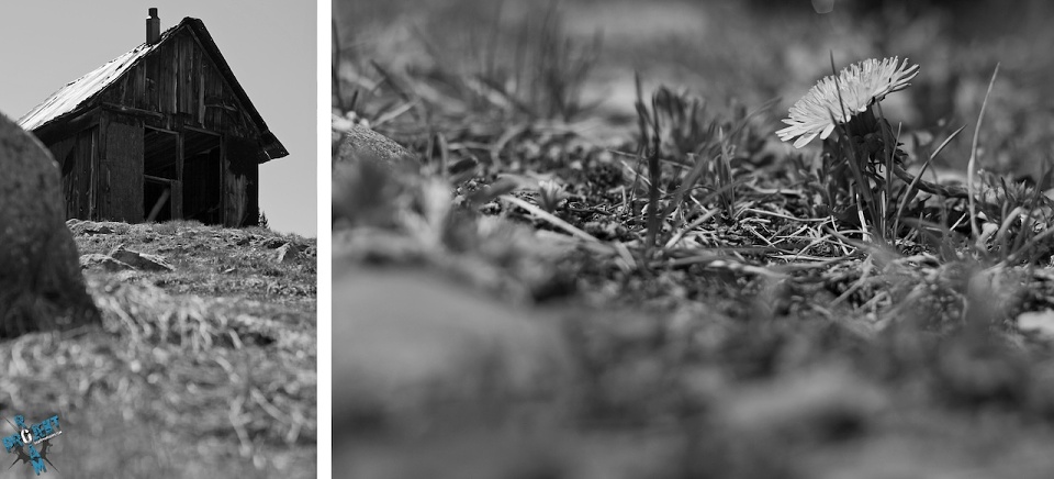 PROJEKT ROAM: Landscapes Vol. 2