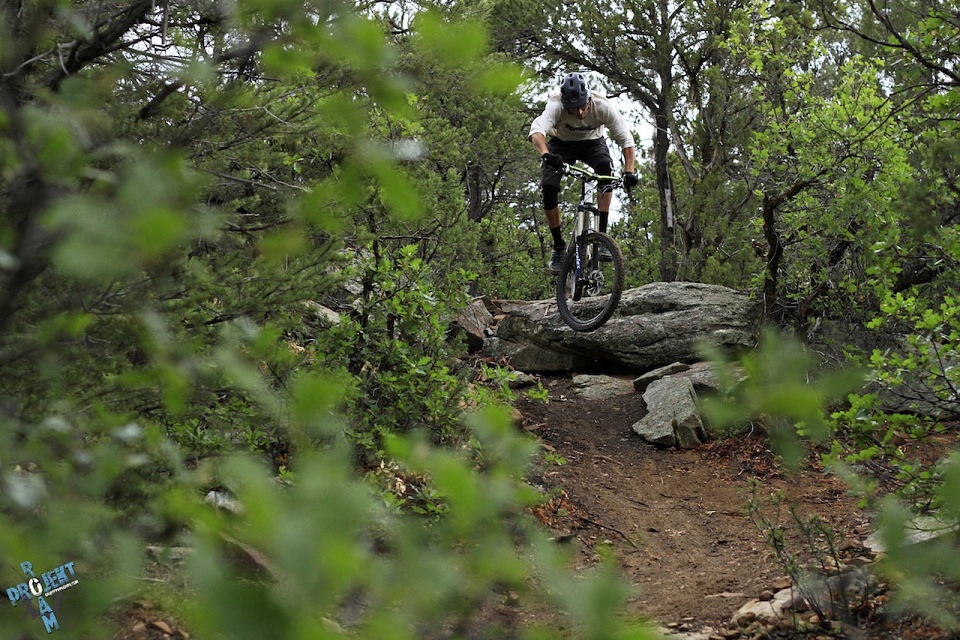 PROJEKT ROAM: Landscapes Vol. 2