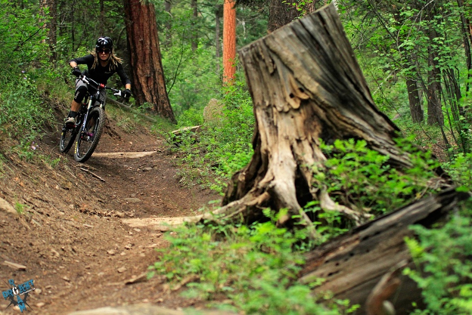 PROJEKT ROAM: Landscapes Vol. 2