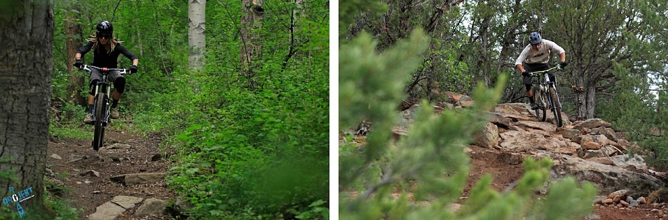 PROJEKT ROAM: Landscapes Vol. 2