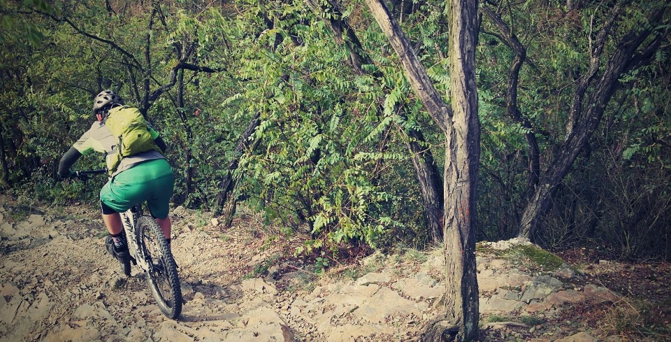 Specialized Camber Evo 29 - 2014