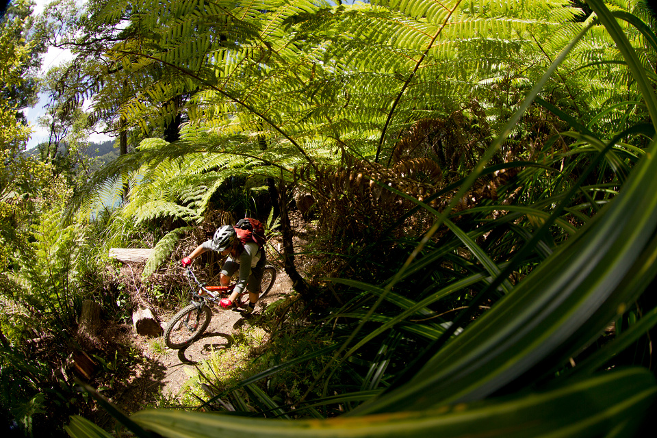 Juliana Bicycles shoot in New Zealand with Anka Martin