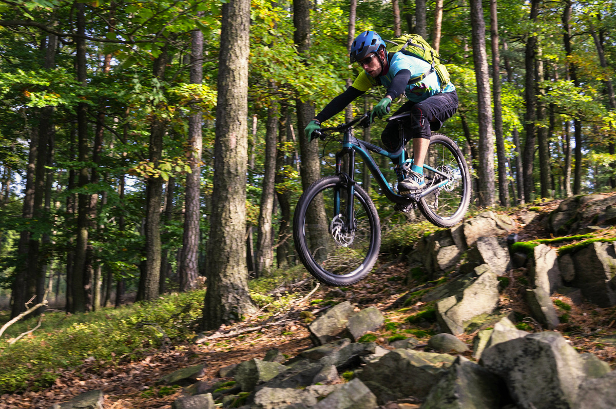 Giant Reign 27,5 2 LTD