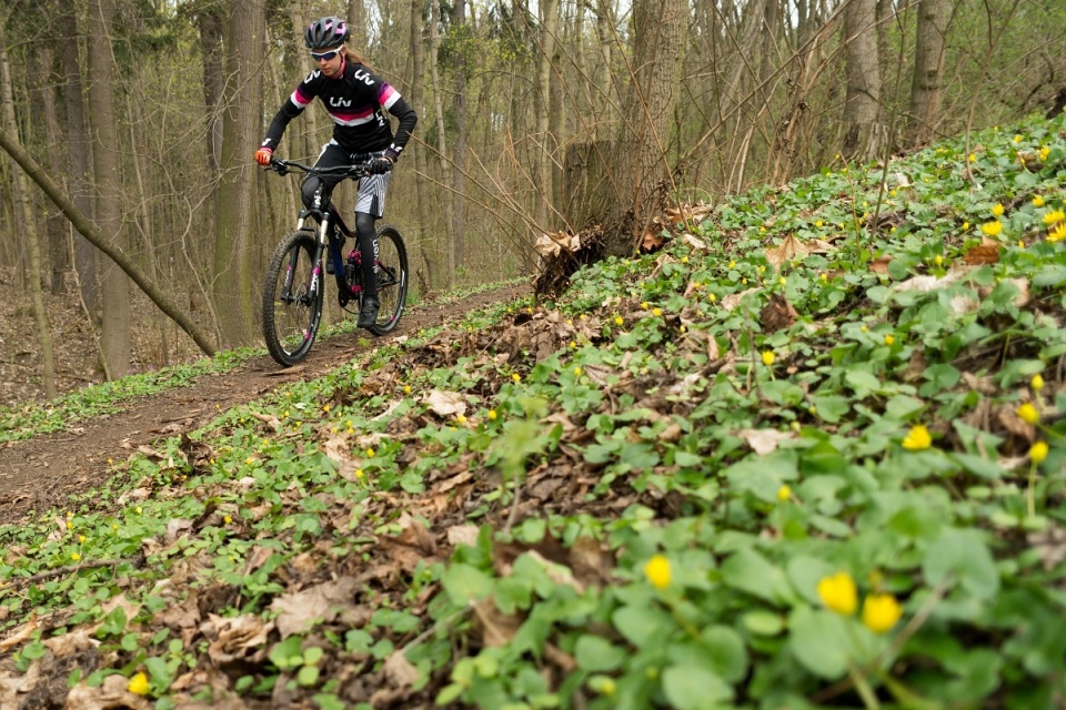 Liv Intrique 1 - test