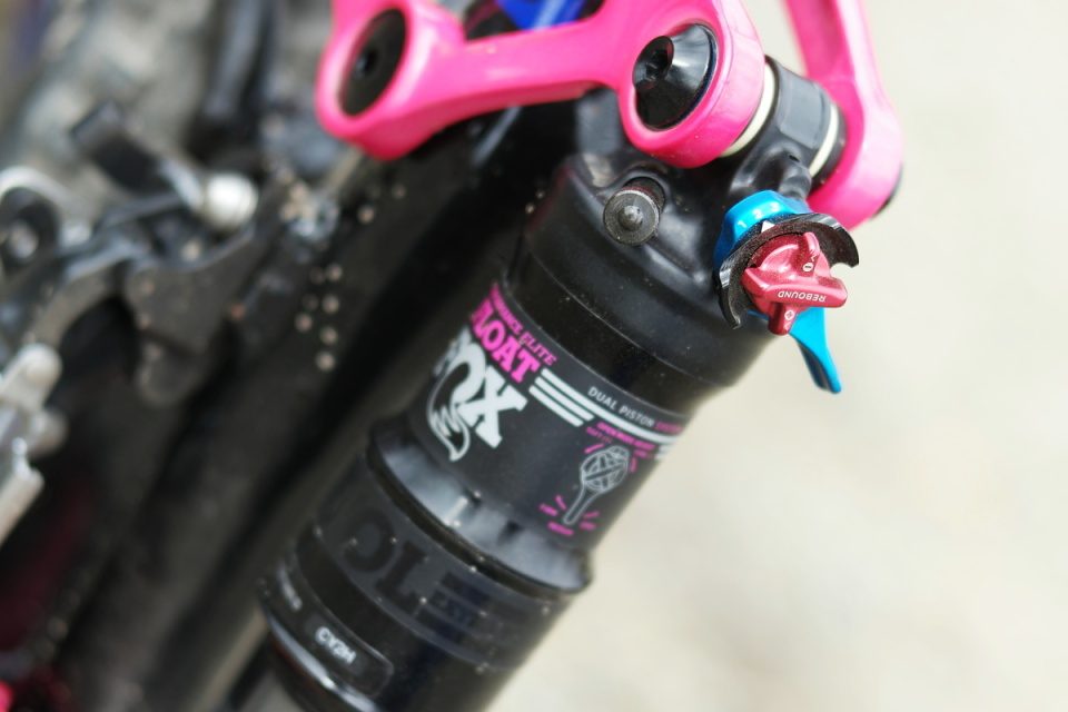 Liv Intrique 1 - test