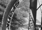 AUTHOR Patriot Trail 2.0 - test