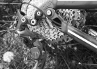 AUTHOR Patriot Trail 2.0 - test