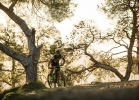 Cannondale Scalpel-Si - Tech news