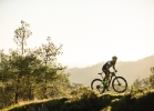 Cannondale Scalpel-Si - Tech news