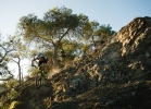 Cannondale Scalpel-Si - Tech news