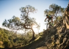 Cannondale Scalpel-Si - Tech news
