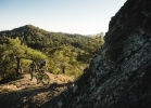 Cannondale Scalpel-Si - Tech news