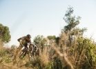 Cannondale Scalpel-Si - Tech news