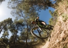 Cannondale Scalpel-Si - Tech news