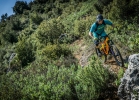 Formula Cura - Tech news