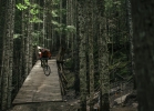 AM_Whistler-GXDH-160529-486
