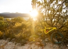 Santa Cruz Tallboy 3 - Tech news