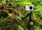 Xiaomi Yi - test kamery (Foto: Tomáš Jiráček)
