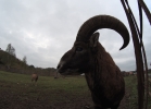 AEE MagiCam S71 - test kamery