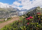 Aletsch Arena - REPORT Andrea Drengubakova