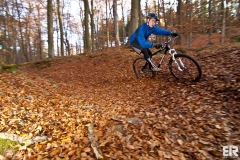 Banshee Paradox - Test