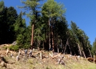 Bike Republic Sölden - #MTBbikepark