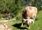 Bike Republic Sölden - #MTBbikepark