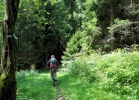 MTB Bikepark - Bachledova - reportaz