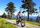 #MTBBikeparkCZ - Kouty 2018