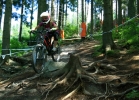 Bikepark Semering - #MTBbikepark