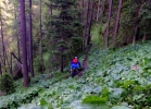 Bikepark Semering - #MTBbikepark