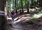 Bikepark Semering - #MTBbikepark