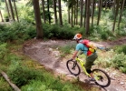 Shoneck bikepark - 2016